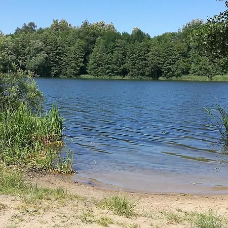 Mieszkanie Do Wynajecia 公寓